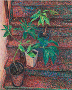 静物（階段、植物など）／Still life (stairs, plants, etc.)